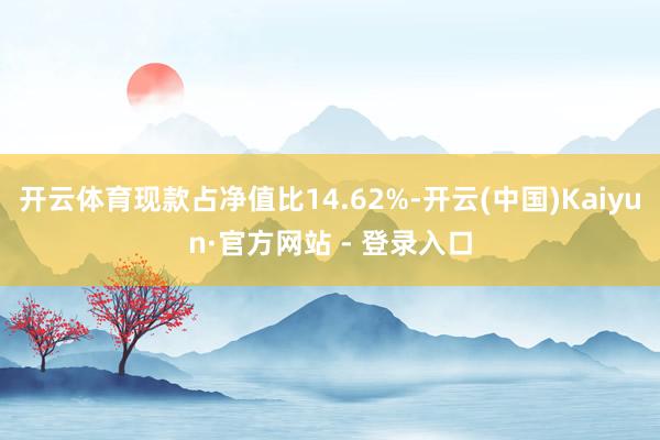 开云体育现款占净值比14.62%-开云(中国)Kaiyun·官方网站 - 登录入口