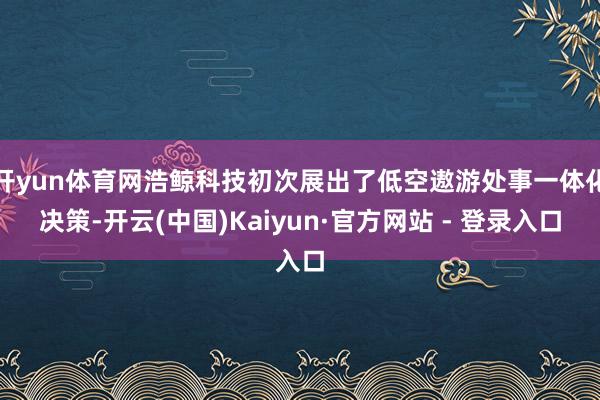 开yun体育网浩鲸科技初次展出了低空遨游处事一体化决策-开云(中国)Kaiyun·官方网站 - 登录入口
