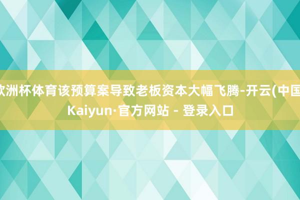 欧洲杯体育该预算案导致老板资本大幅飞腾-开云(中国)Kaiyun·官方网站 - 登录入口