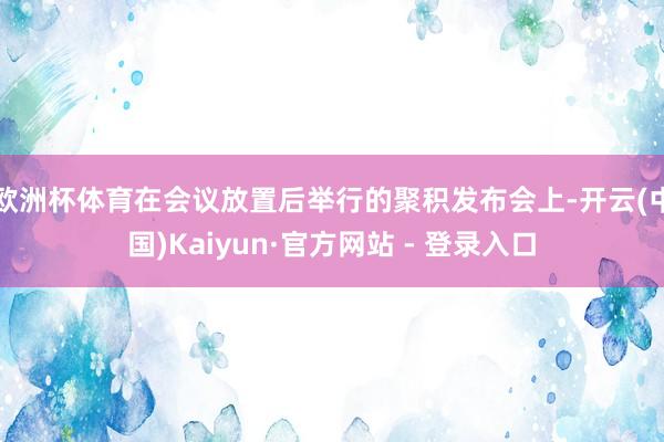 欧洲杯体育在会议放置后举行的聚积发布会上-开云(中国)Kaiyun·官方网站 - 登录入口