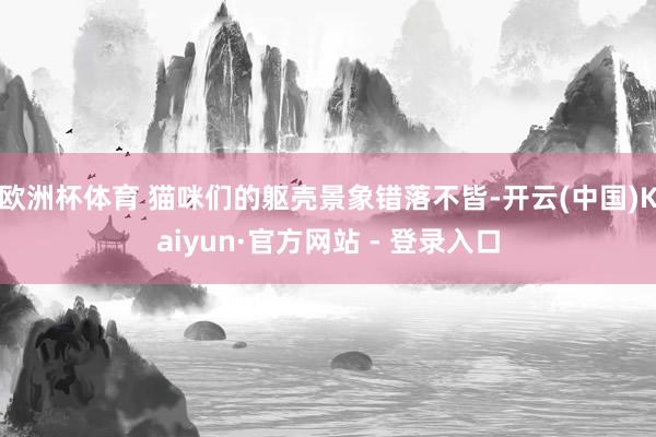 欧洲杯体育 猫咪们的躯壳景象错落不皆-开云(中国)Kaiyun·官方网站 - 登录入口