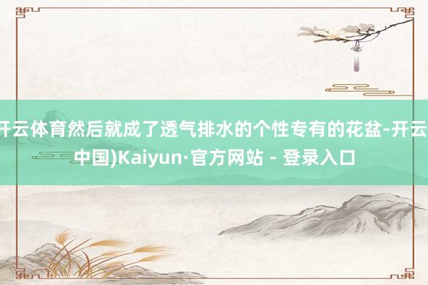 开云体育然后就成了透气排水的个性专有的花盆-开云(中国)Kaiyun·官方网站 - 登录入口