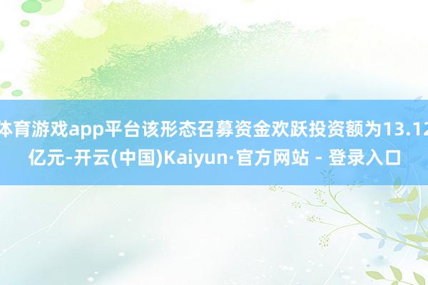 体育游戏app平台该形态召募资金欢跃投资额为13.12亿元-开云(中国)Kaiyun·官方网站 - 登录入口