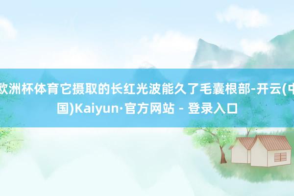 欧洲杯体育它摄取的长红光波能久了毛囊根部-开云(中国)Kaiyun·官方网站 - 登录入口