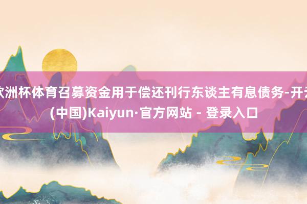 欧洲杯体育召募资金用于偿还刊行东谈主有息债务-开云(中国)Kaiyun·官方网站 - 登录入口