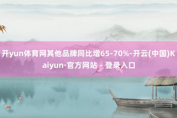 开yun体育网其他品牌同比增65-70%-开云(中国)Kaiyun·官方网站 - 登录入口
